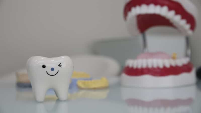 השתלות חניכיים